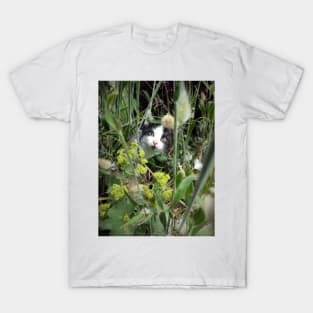 The tomcat Robby in the flowerbed T-Shirt